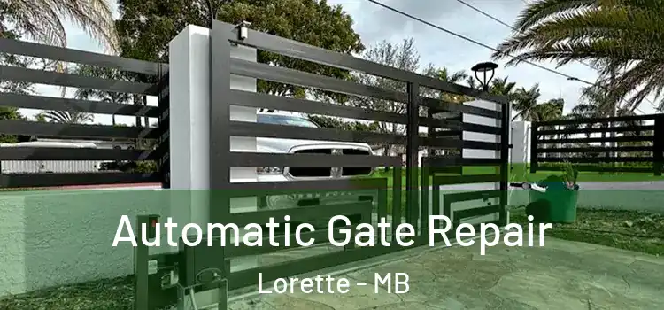 Automatic Gate Repair Lorette - MB