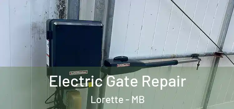 Electric Gate Repair Lorette - MB