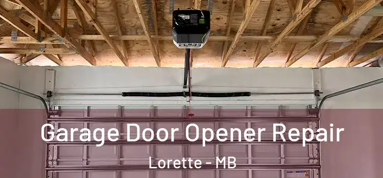  Garage Door Opener Repair Lorette - MB