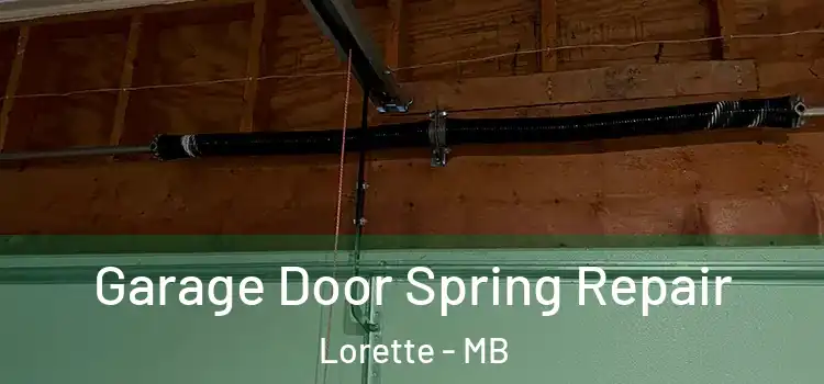  Garage Door Spring Repair Lorette - MB