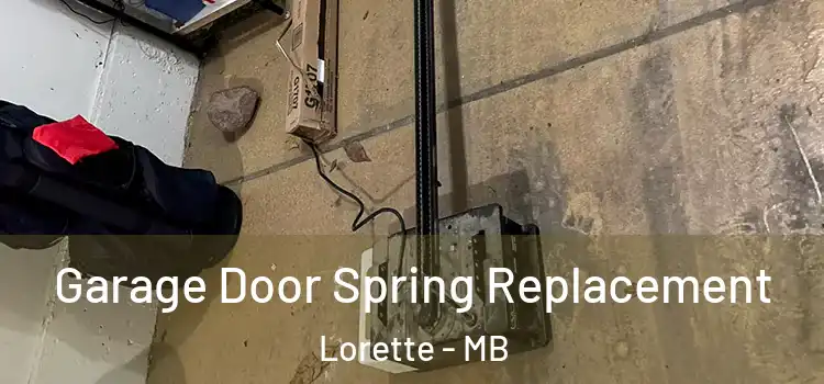  Garage Door Spring Replacement Lorette - MB