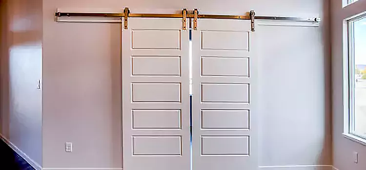 Glass Barn Door with Installation Hardware Kit Lorette