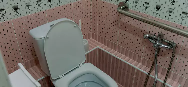 Meeting Diverse Needs With Accessible Restroom Solutions in Lorette, MB
