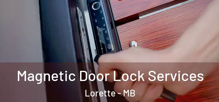 Magnetic Door Lock Services Lorette - MB