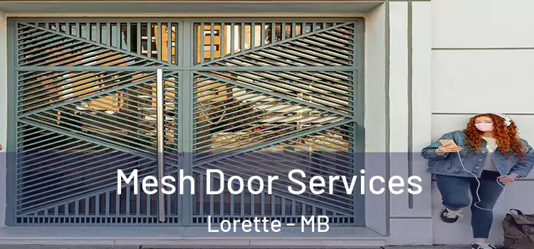 Mesh Door Services Lorette - MB