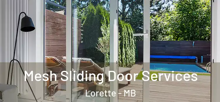 Mesh Sliding Door Services Lorette - MB