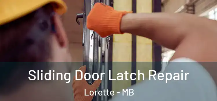  Sliding Door Latch Repair Lorette - MB
