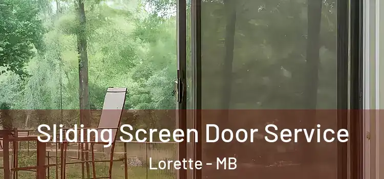Sliding Screen Door Service Lorette - MB